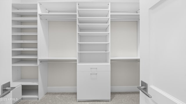 spacious closet with light colored carpet