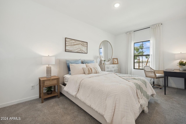 bedroom with carpet floors