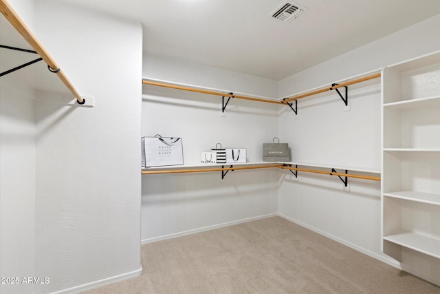 spacious closet with light carpet