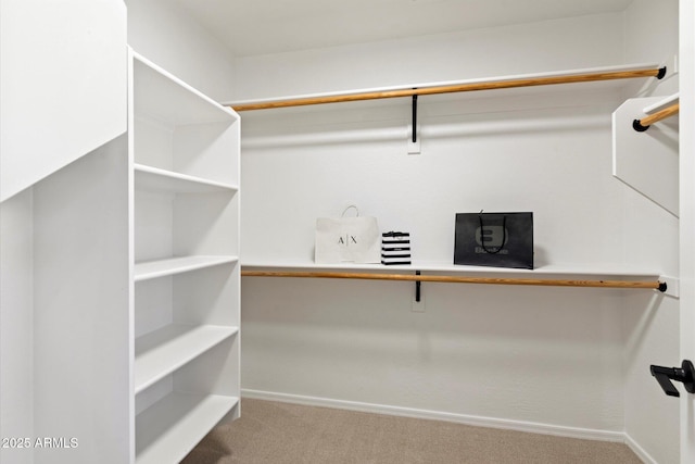 spacious closet with carpet flooring