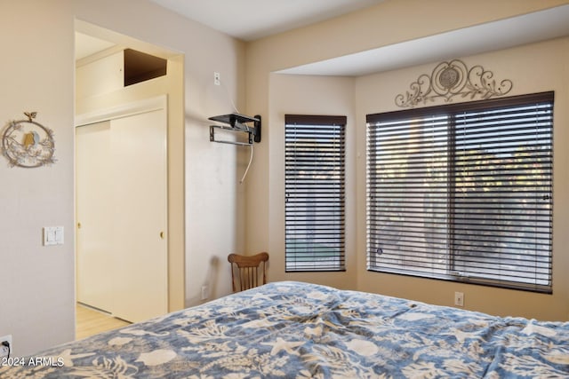 bedroom with a closet and light hardwood / wood-style flooring