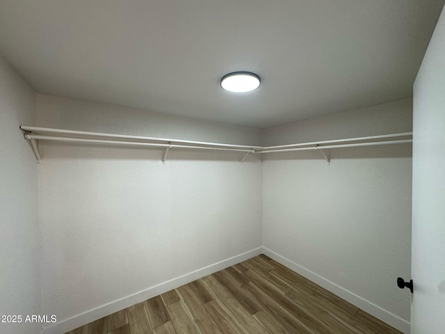 spacious closet featuring wood finished floors