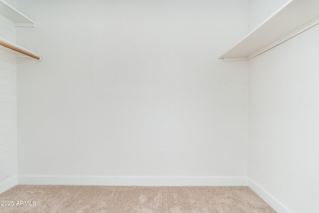 spacious closet featuring carpet floors