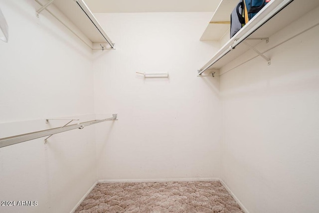 walk in closet with light colored carpet