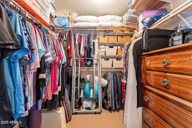 walk in closet with carpet flooring