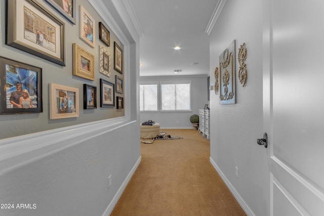 hallway with crown molding and light colored carpet