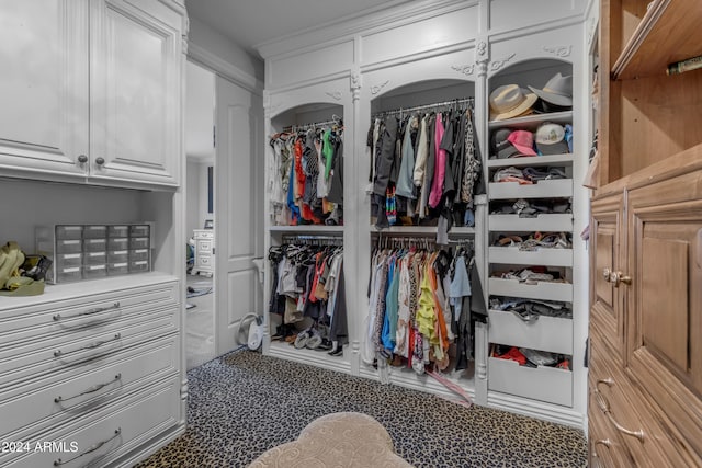 view of walk in closet