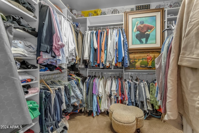 spacious closet featuring carpet