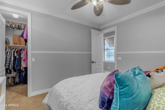 carpeted bedroom featuring crown molding, ceiling fan, a closet, and a walk in closet