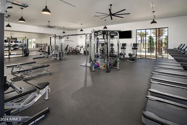 exercise room with ceiling fan and plenty of natural light