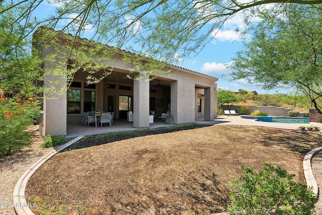 rear view of property with an outdoor pool, a patio area, a ceiling fan, and stucco siding