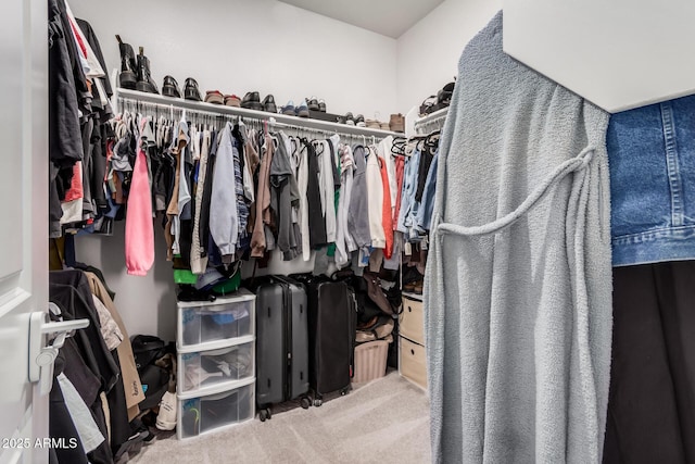 walk in closet featuring carpet flooring