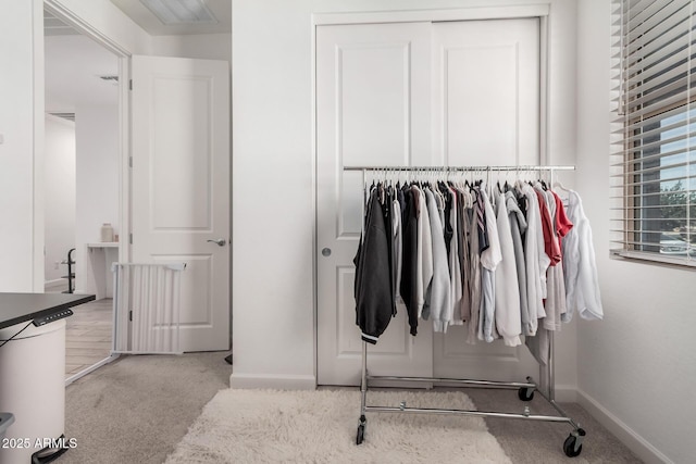 view of closet
