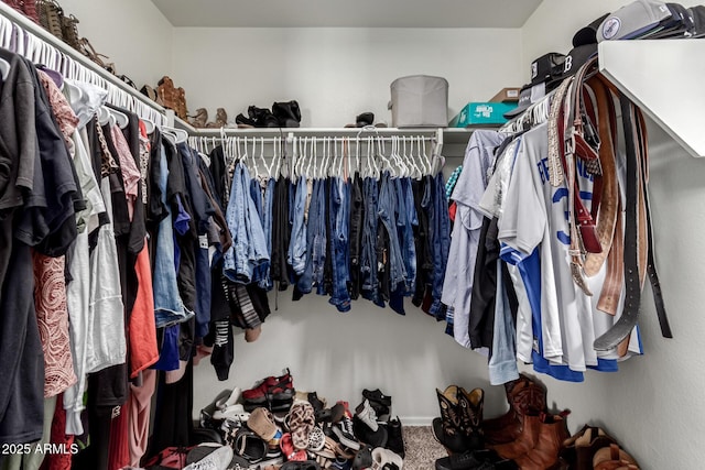 walk in closet featuring carpet