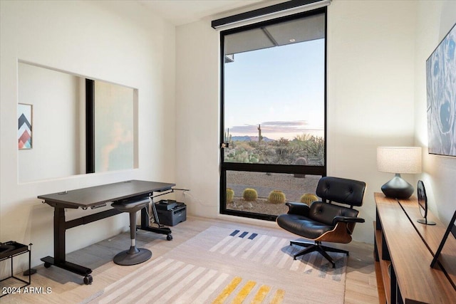 sitting room featuring light hardwood / wood-style flooring