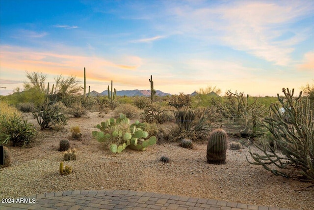 view of nature at dusk