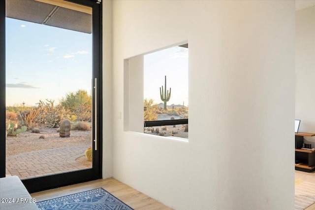 doorway to outside featuring a healthy amount of sunlight and light hardwood / wood-style flooring