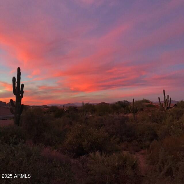 view of nature at dusk