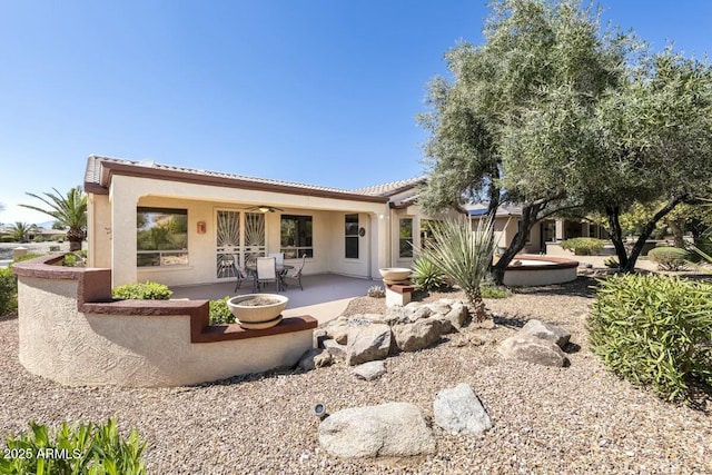 back of house with ceiling fan, a patio, and stucco siding