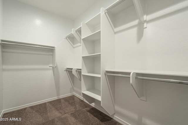 4090 E Bethena St, Gilbert, AZ 85295 - walk in closet with dark colored carpet