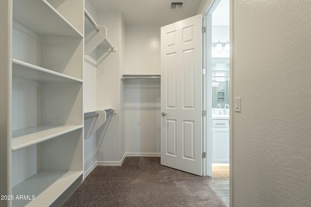 4090 E Bethena St, Gilbert, AZ 85295 - walk in closet with carpet flooring and visible vents