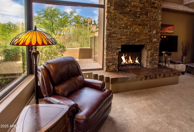 interior space with a fireplace