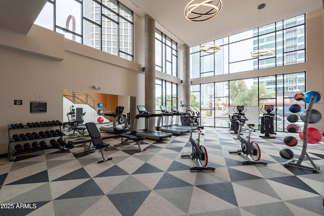 gym featuring carpet