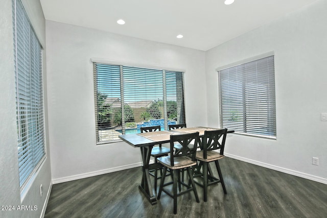 dining space featuring dark wood-type flooring