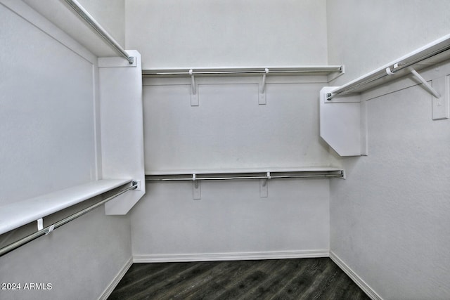 spacious closet featuring dark hardwood / wood-style floors