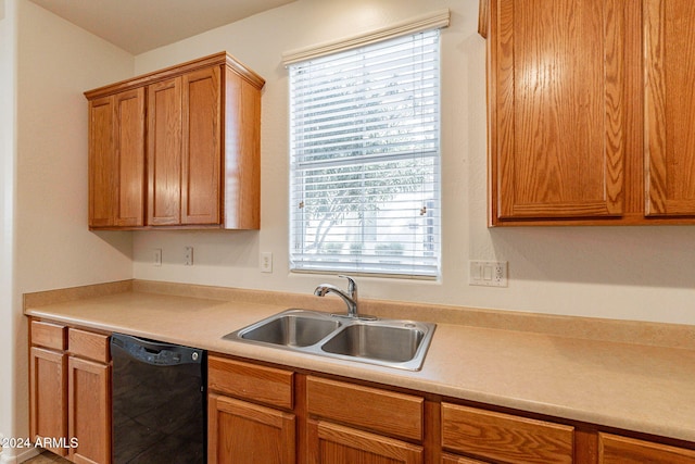 kitchen with dishwasher and sink