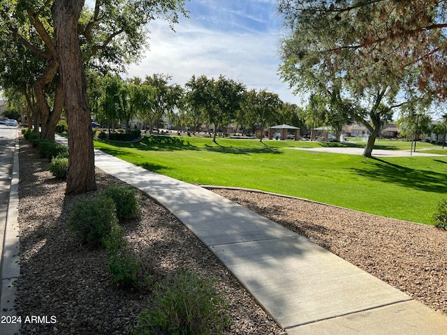 view of property's community featuring a yard