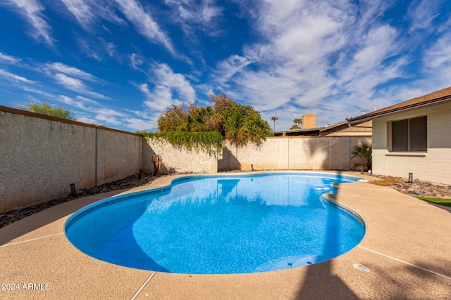 view of swimming pool