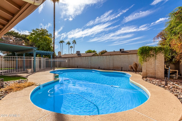 view of pool featuring a patio