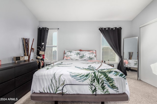 carpeted bedroom featuring a closet