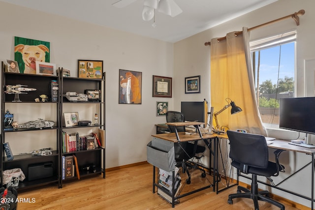 home office featuring ceiling fan and light wood-type flooring