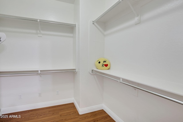 spacious closet featuring wood finished floors