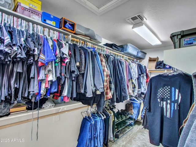 walk in closet featuring carpet floors