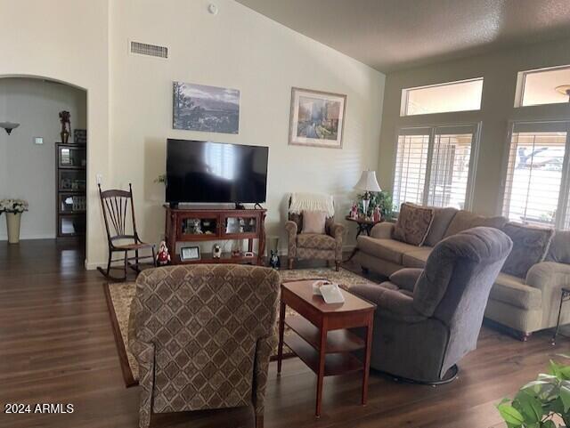 living room with dark hardwood / wood-style flooring and lofted ceiling