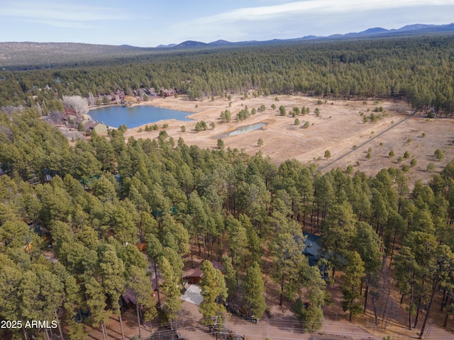 drone / aerial view with a water and mountain view