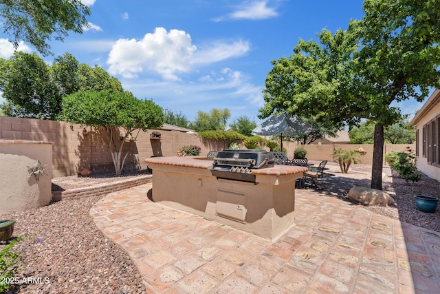 view of patio / terrace with area for grilling, an outdoor kitchen, and a fenced backyard