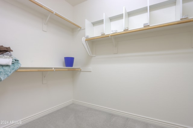 spacious closet with carpet floors