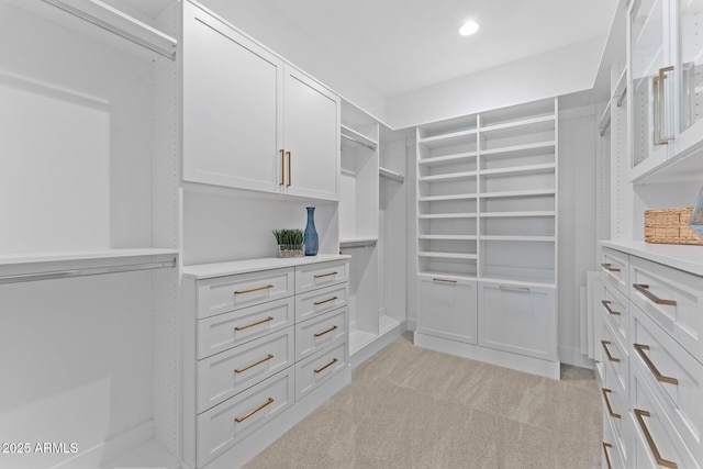 spacious closet with light carpet