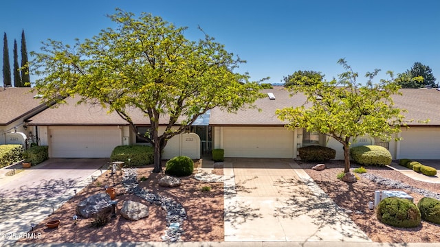 view of front of house featuring an attached garage, driveway, and roof with shingles