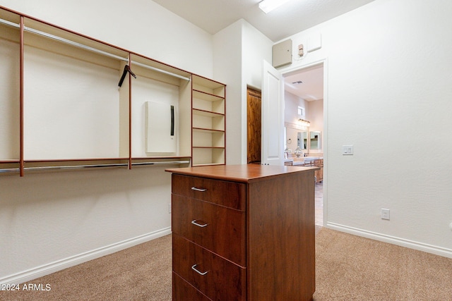 spacious closet featuring light colored carpet