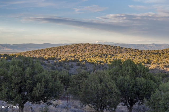 4177 W Finch Hollow Ave, Chino Valley, AZ 86323 - mountain view with a forest view