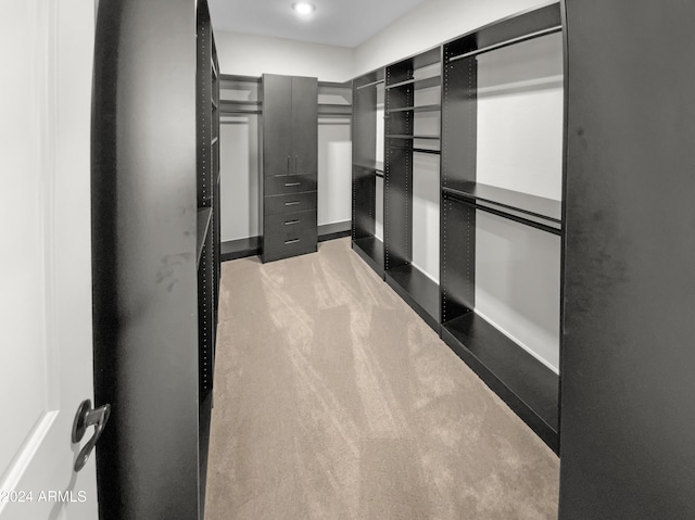 spacious closet with light carpet