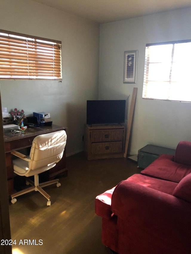 office featuring dark hardwood / wood-style flooring