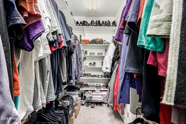 spacious closet featuring carpet floors