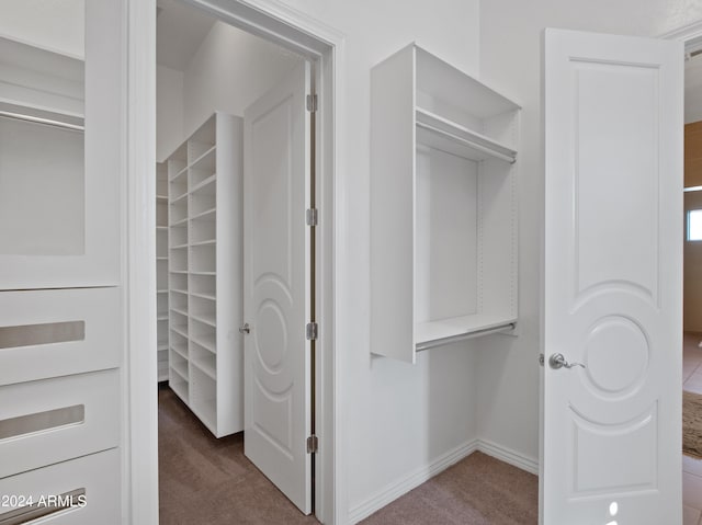 spacious closet featuring carpet flooring