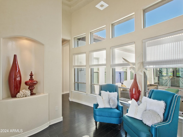 sitting room featuring a high ceiling and dark hardwood / wood-style flooring